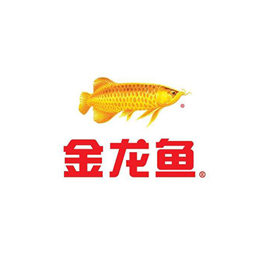 金龍魚(yú)